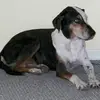 Susan Thorne - @susan.thorne2 - TikTok