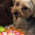 Susan Thorne - Facebook