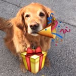 Susan Timmermann - @susantimmermann - Instagram