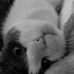 Susan Timpe - Facebook