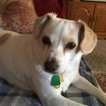 Susan Tinkham Porth - @susanporth - Instagram