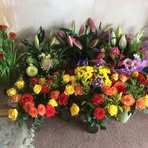Susan Tite - Facebook