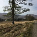 Susan Toal - Facebook