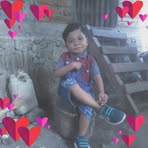 Susan Toul - Facebook