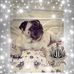 Susan Toole - Facebook