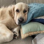 Susan Toole - @suzey26771 - Instagram