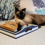 Susan Huckaby-Totten - @huckabytotten - Instagram