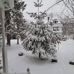 Susan Totten Peters - @randomthoughts507 - Instagram
