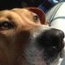Susan Trainor - Facebook