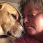 Susan B. Travers - @susan.travers - Instagram