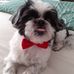 Susan Travers - Facebook