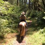 Susan Travers - @shakeridgerockiesusa - Instagram