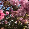 Susan_streenxox - @susan_streen - TikTok