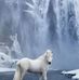 Susan Troutner - Facebook