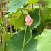 Susan  Tseng - Facebook