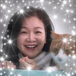 Susan Tseng - @sst7063 - Instagram