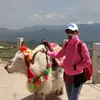 Susan Tseng - @susan80905 - TikTok