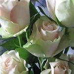 Susan Tseng - @susan.tseng.148 - Instagram