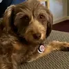 Momma - @susantucker37 - TikTok