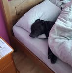 Susan Tuck - Facebook