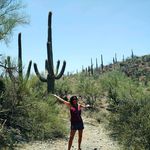 Susan Tuck - @shoocatboo - Instagram