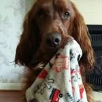 Susan Tuckett - @susan.tuckett.50 - Instagram