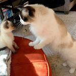 Susan Tuggle Boren - @susantuggleboren - Instagram