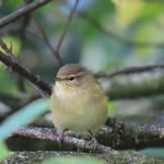 Susan Tunstall - @suet1963 - Instagram