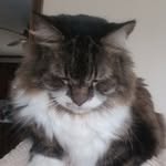 Susan Twitchell - @susan.twitchell - Instagram