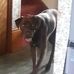 Susan Tyree - Facebook