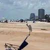 Susan Tyree - @susan.tyree0 - TikTok