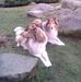 Susanne Ufer - Facebook