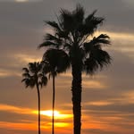 Susan Barbrick Upson - @susanu - Instagram