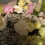 Susan Upson - @upsonsusan - Instagram