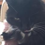 Susan Usher - @susanusher1 - Instagram