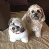 susanusher54 - @susanusher54 - TikTok