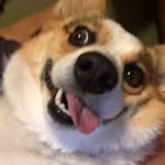 Sueyv - @susanvalentine8392 - Instagram