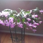Susan Vandermark - @vandermark_susan - Instagram