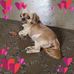 Sue Vanhoose - Facebook