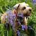 Sue Varley - Facebook