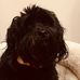 Susan Bean MacLean Veltri - Facebook