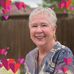 Sue Vesely-Hardon - Facebook