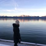 Susan Vickers - @susan_vickers - Instagram
