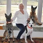 Susan Duffey Vieth - @susanvieth - Instagram