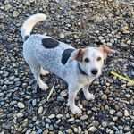 Susanne Vieth - @susannevieth - Instagram