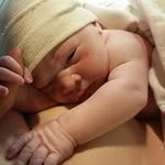 Susan Viles - @vilessusan - Instagram