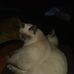 Susan Vineyard - Facebook