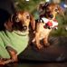 Susan Vogt - Facebook