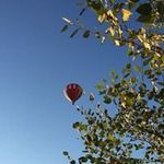 Susan Vogt - @arnievogt - Instagram