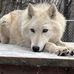 Susan Vogt - Facebook